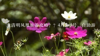 求清明凤凰旅游攻略？？4月3-5号，自助游