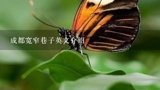 成都宽窄巷子英文介绍