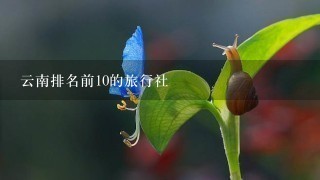 云南排名前10的旅行社