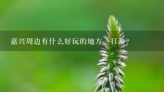 嘉兴周边有什么好玩的地方1日游？