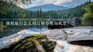 携程旅行怎么用订单号查询机票?