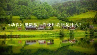 《动森》里数旅行券使用攻略是什么？