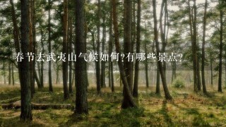 春节去武夷山气候如何?有哪些景点？