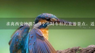 求离西安钟楼<br/>2、3个小时车程的旅游景点，适合1<br/>1、12月份团队出游的，附近要有篮球场、住宿和餐饮，谢谢~