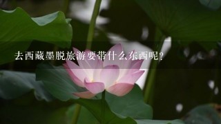 去西藏墨脱旅游要带什么东西呢？