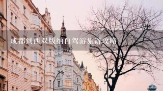 成都到西双版纳自驾游旅游攻略