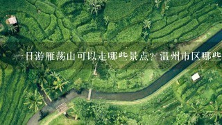 1日游雁荡山可以走哪些景点？温州市区哪些旅行社值