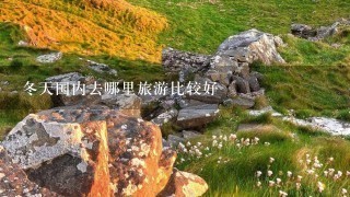 冬天国内去哪里旅游比较好