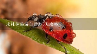 求桂林旅游自助游3天攻略