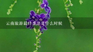 云南旅游最佳季节是什么时候