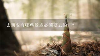 去西安有哪些景点必须要去的？？