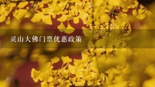 灵山大佛门票优惠政策