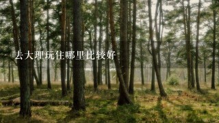 去大理玩住哪里比较好