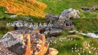 稻城亚丁必去4大景点