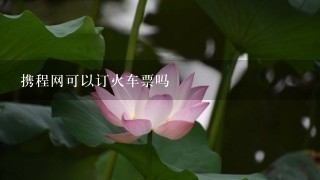 携程网可以订火车票吗