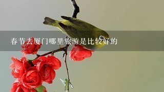 春节去厦门哪里旅游是比较好的