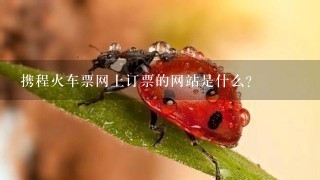 携程火车票网上订票的网站是什么？