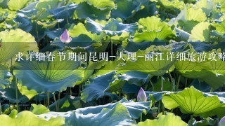 求详细春节期间昆明-大理-丽江详细旅游攻略及价钱。（1家6口，4大2小），