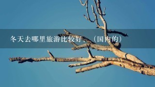 冬天去哪里旅游比较好、（国内的）