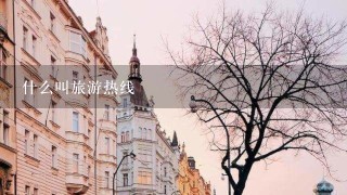 什么叫旅游热线