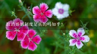 取消婚姻制度是真的吗知乎？