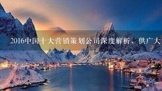 2016中国十大营销策划公司深度解析，供广大访问者学习