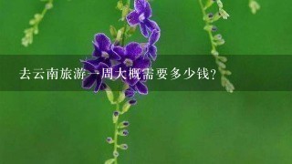 去云南旅游1周大概需要多少钱？