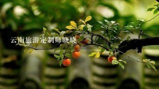 云南旅游定制师晓晓