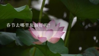 春节去哪里旅游好呢？