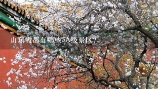 山东省都有哪些5A级景区？