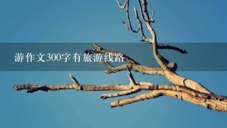 游作文300字有旅游线路