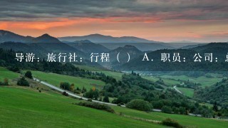 导游：旅行社：行程（ ） A．职员：公司：总结 B．演员：剧院：表演 C．教师：学校：大纲 D．司机：车队：驾照