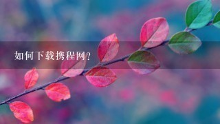 如何下载携程网？