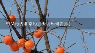 带父母去北京约5天该如何安排？