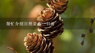 帮忙介绍日照景点1日游