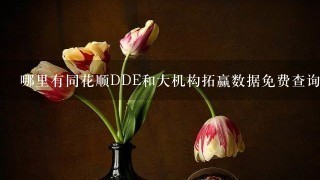 哪里有同花顺DDE和大机构拓赢数据免费查询?