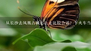 从长沙去凤凰古城怎么走比较合适？下火车当天就能买票吗？（上午9点多下火车）现在去凤凰的人多不多？