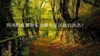 4川的成都和乐山哪个景区比较出名？