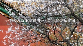 1个人旅游不想跟团去，想和驴友结伴同行，需要注意