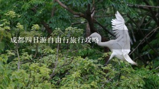 成都4日游自由行旅行攻略