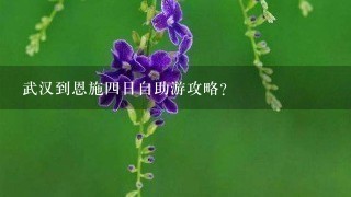 武汉到恩施4日自助游攻略？