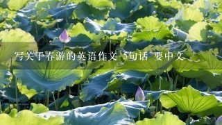 写关于春游的英语作文 5句话 要中文