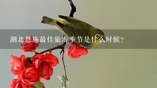 湖北恩施最佳旅游季节是什么时候？