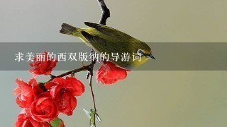 求美丽的西双版纳的导游词