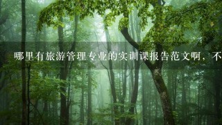 哪里有旅游管理专业的实训课报告范文啊，不是实习报