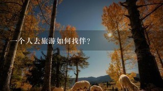 1个人去旅游如何找伴？