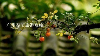 广州春节旅游攻略