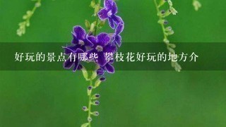 好玩的景点有哪些 攀枝花好玩的地方介