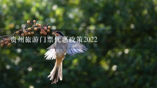 贵州旅游门票优惠政策2022