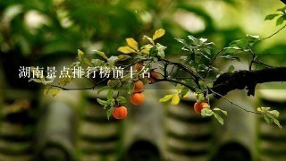 湖南景点排行榜前十名